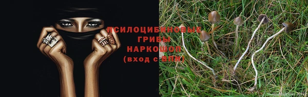 круглые Алексин